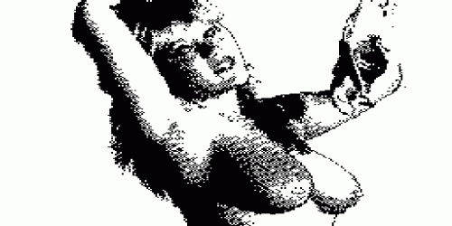 samfox2.gif