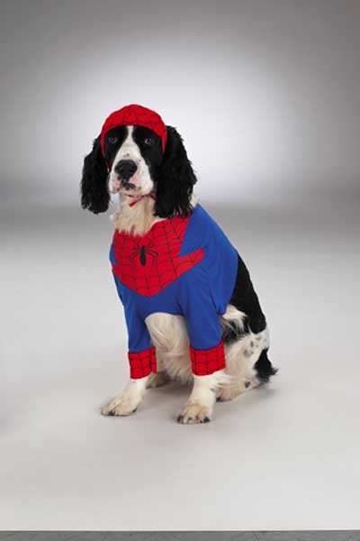 spiderperro.jpg
