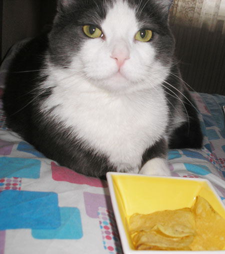 virugato-lays-mojito