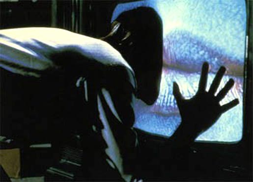 Podcast 22 – Charlas nocturnas con Wally y Viru